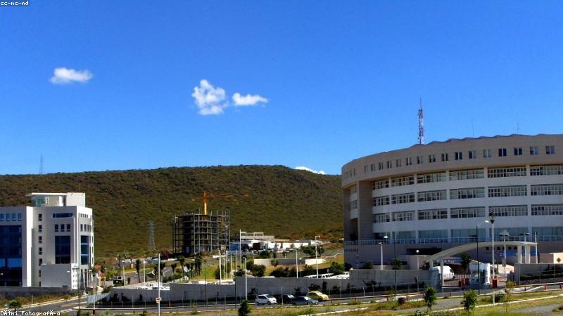 91浏览器 91tv.com 一触全开的移动浏览界面展示
